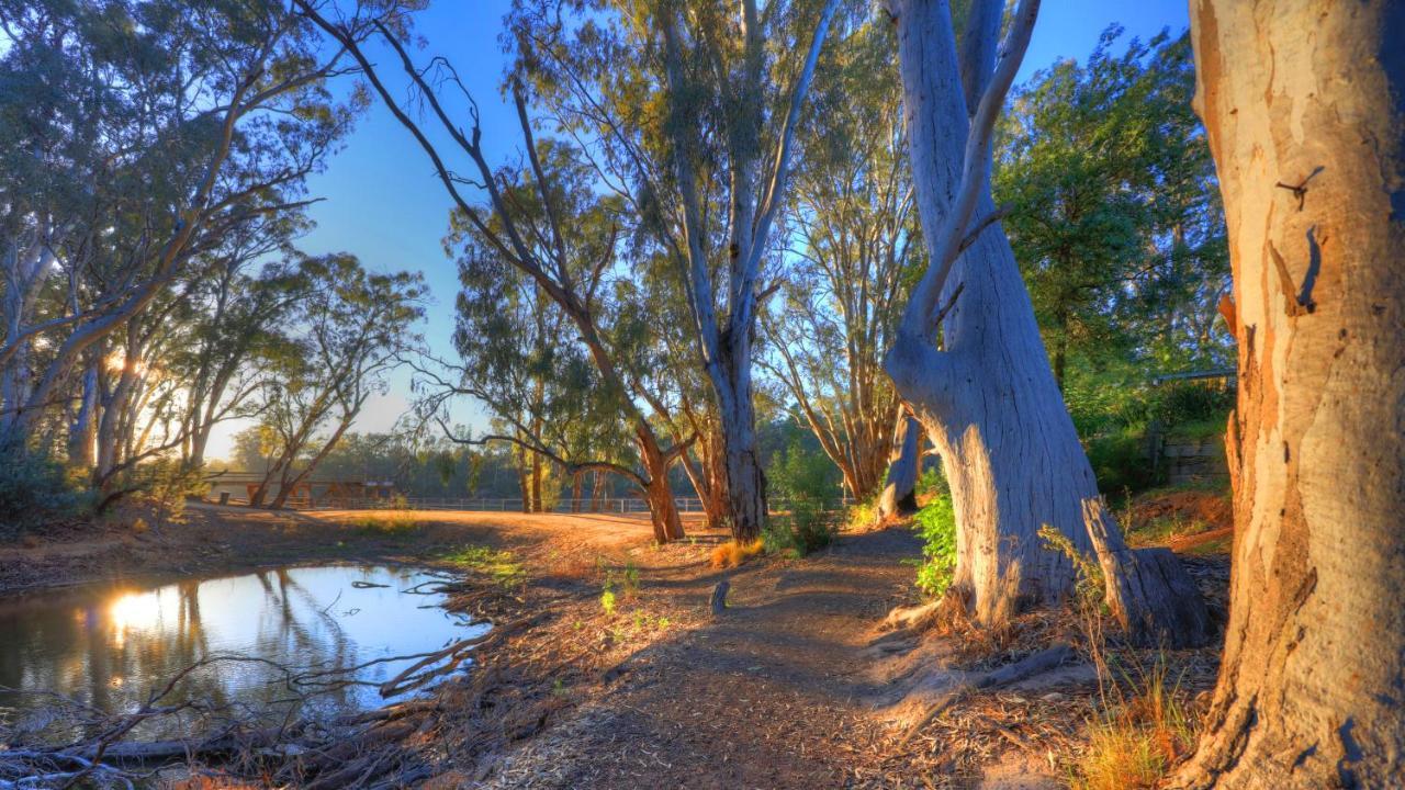 Moama Riverside Holiday Park Екстериор снимка