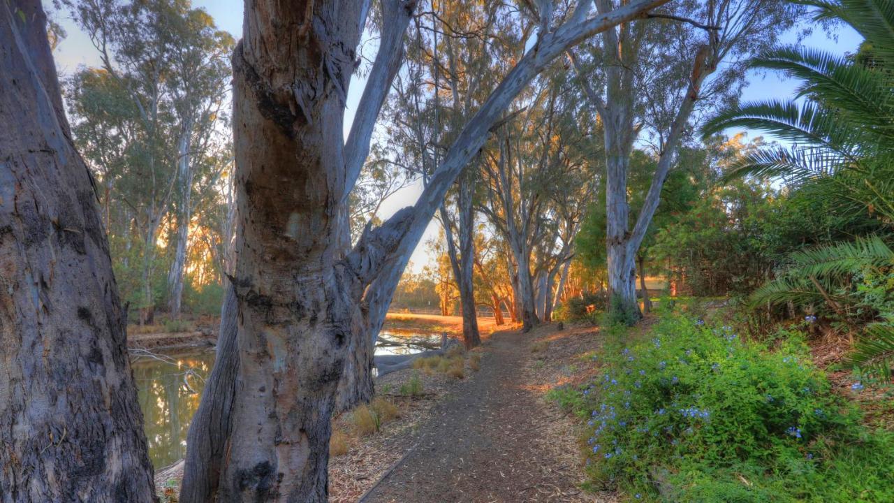 Moama Riverside Holiday Park Екстериор снимка